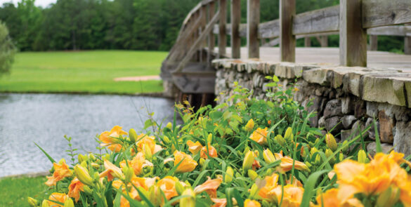 bridge with lilies