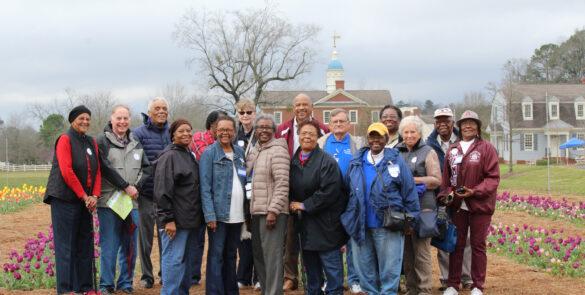 retired teachers tulip group